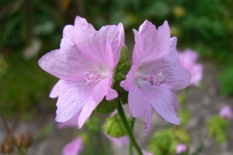 Naturwerkstatt Steinwald